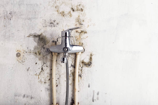 Best Mold Testing  in Masury, OH