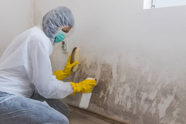 Mold Testing and Removal in Masury, OH