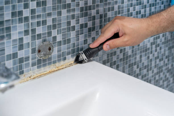 Best Best Mold Removal Companies  in Masury, OH