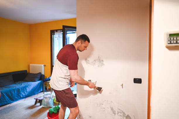 Best Professional Mold Removal  in Masury, OH